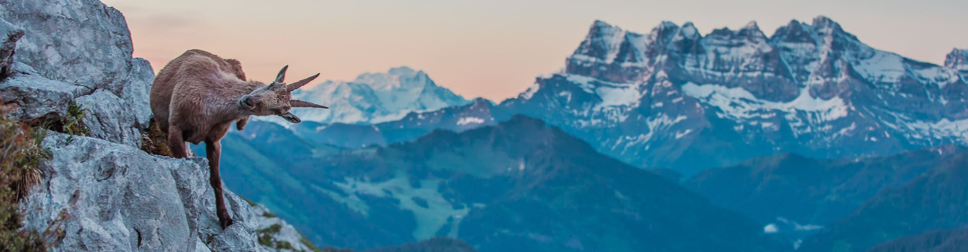 Get the best summer deals from Châtel Réservation
