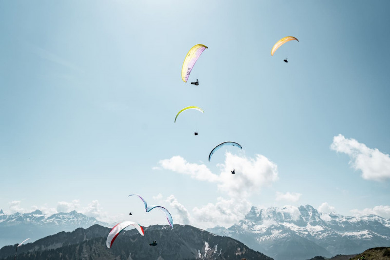 Activités, Services en été
