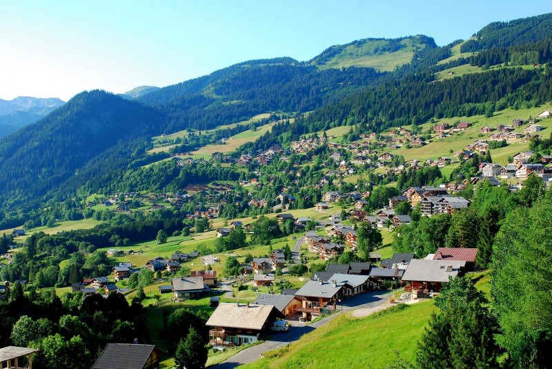 Chatel Live Info