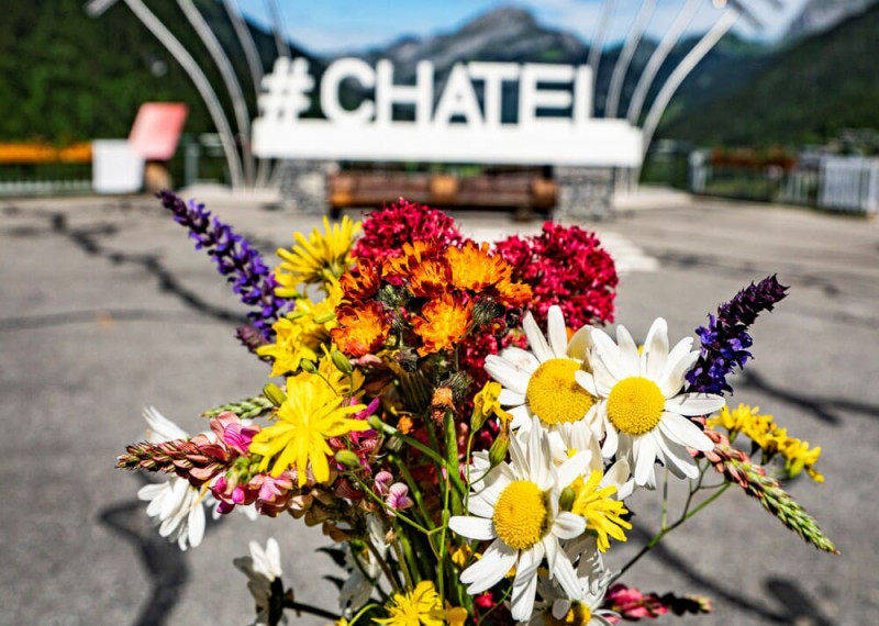 M&eacute;t&eacute;o Live