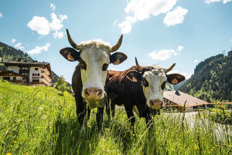 R&eacute;sidences de Tourisme