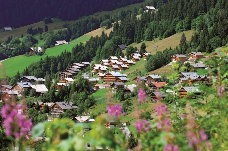 All holiday rentals in Châtel