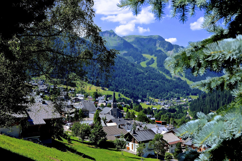 Access, train station & airport transfers