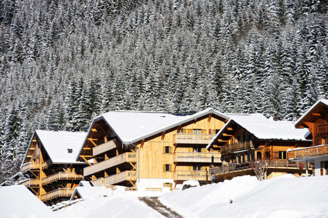 Le Grand Ermitage Châtel, residence with services, winter sport