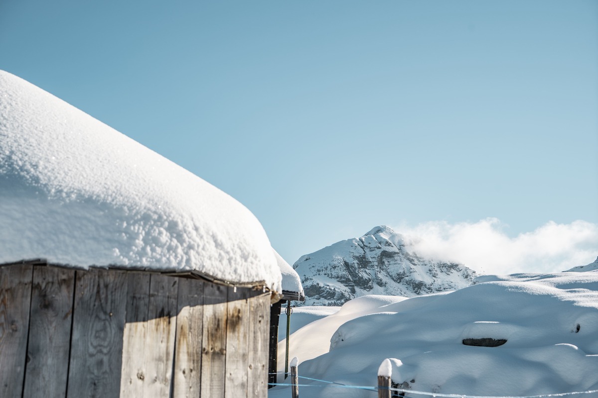 chatel-l-meyer-domaine-20211105-22-8172928