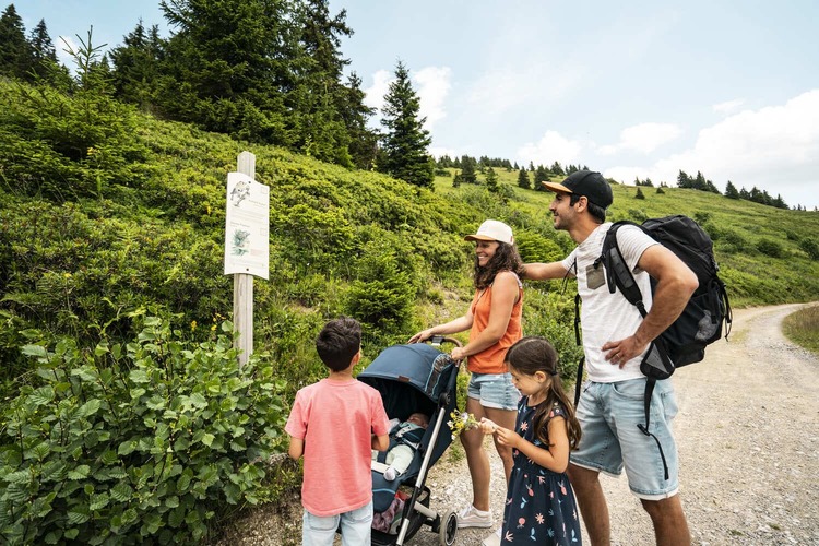 Discover mountains with the family in Chatel