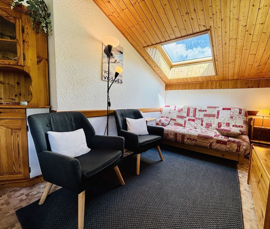 Résidence Perce Neige, Bâtiment A, Appartement 30, Châtel, Salon, Espace détente