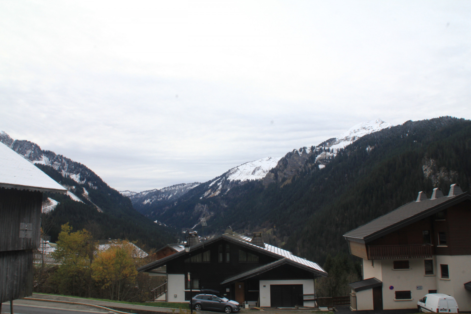 IMG_3548 IMG_3548