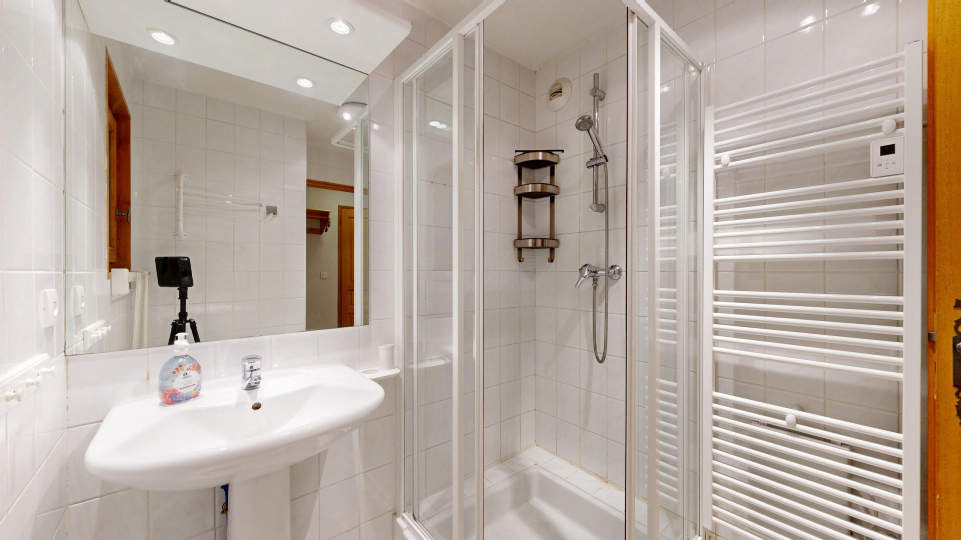 Alpvision-Appartement-Sabot-de-Venus10162025_1556301