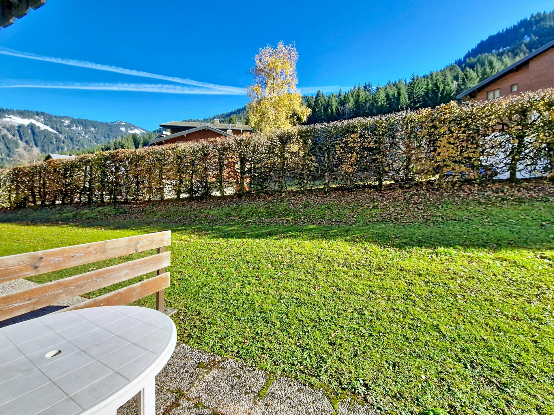 cp6_000011 cp6_000011