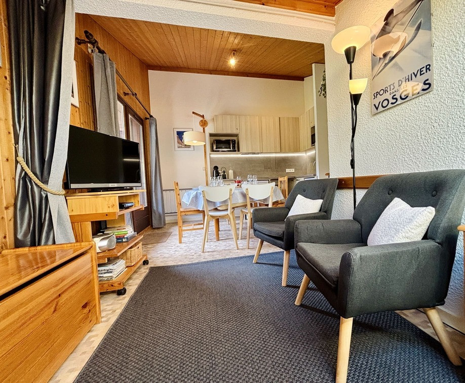 Résidence Perce Neige, Bâtiment A, Appartement 30, Châtel, Salon, Bien être en station
