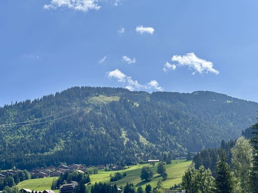 25-8803069 25-8803069