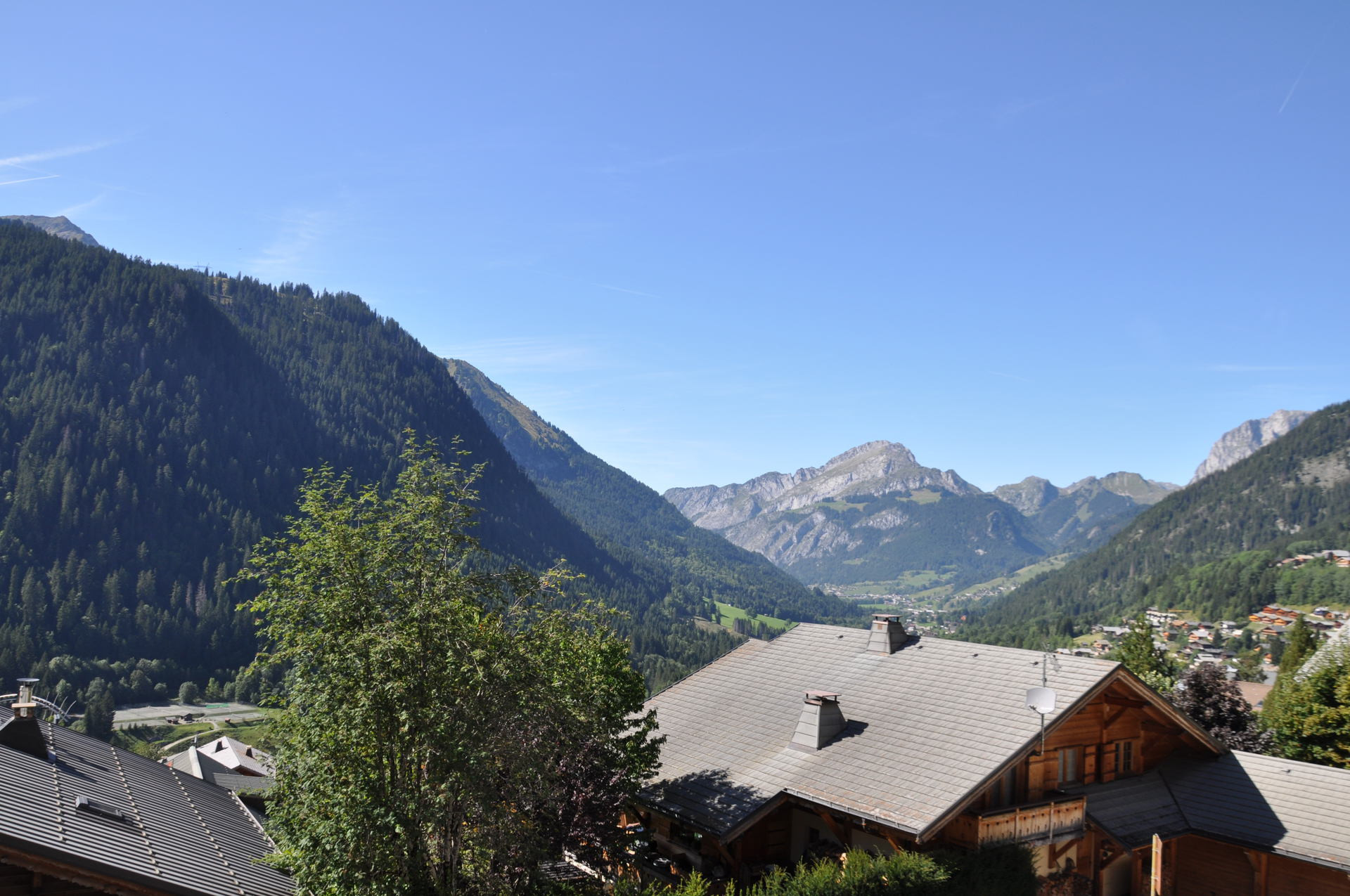 _lv_images__lot_0000000077_03_8345650