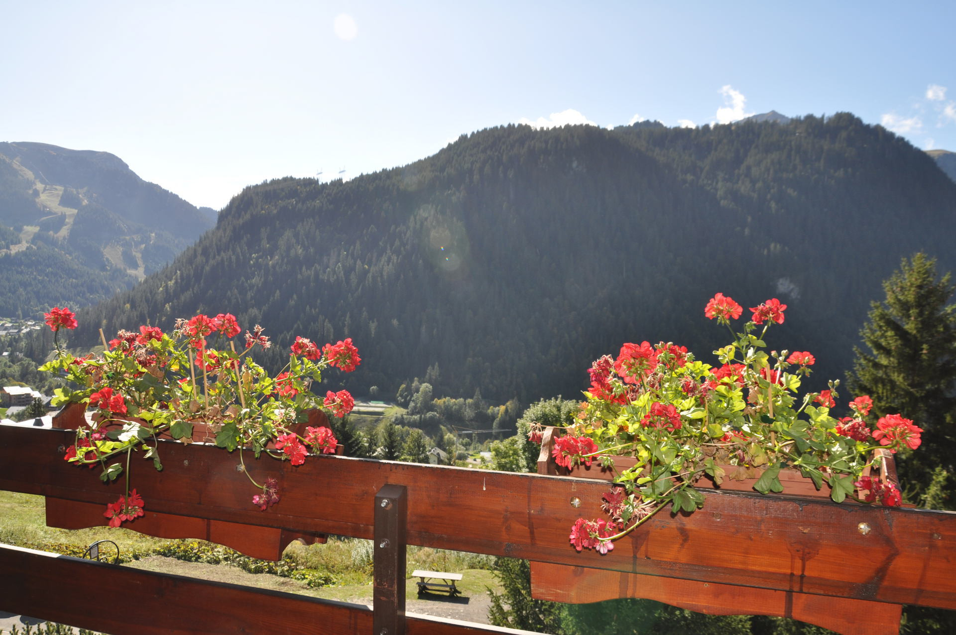 _lv_images__lot_0000000087_08_8224158 _lv_images__lot_0000000087_08_8224158