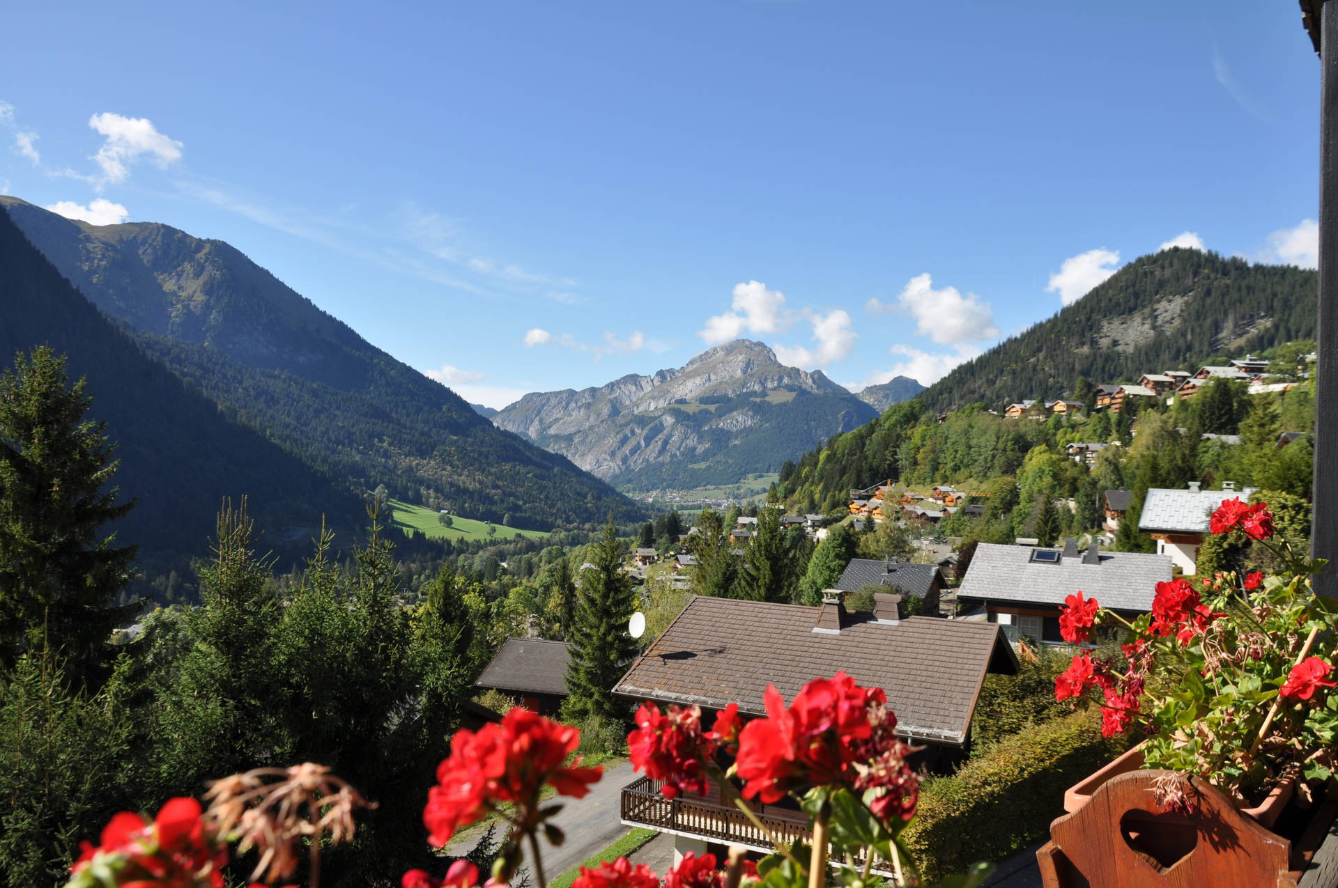 _lv_images__lot_0000000087_10_8505681