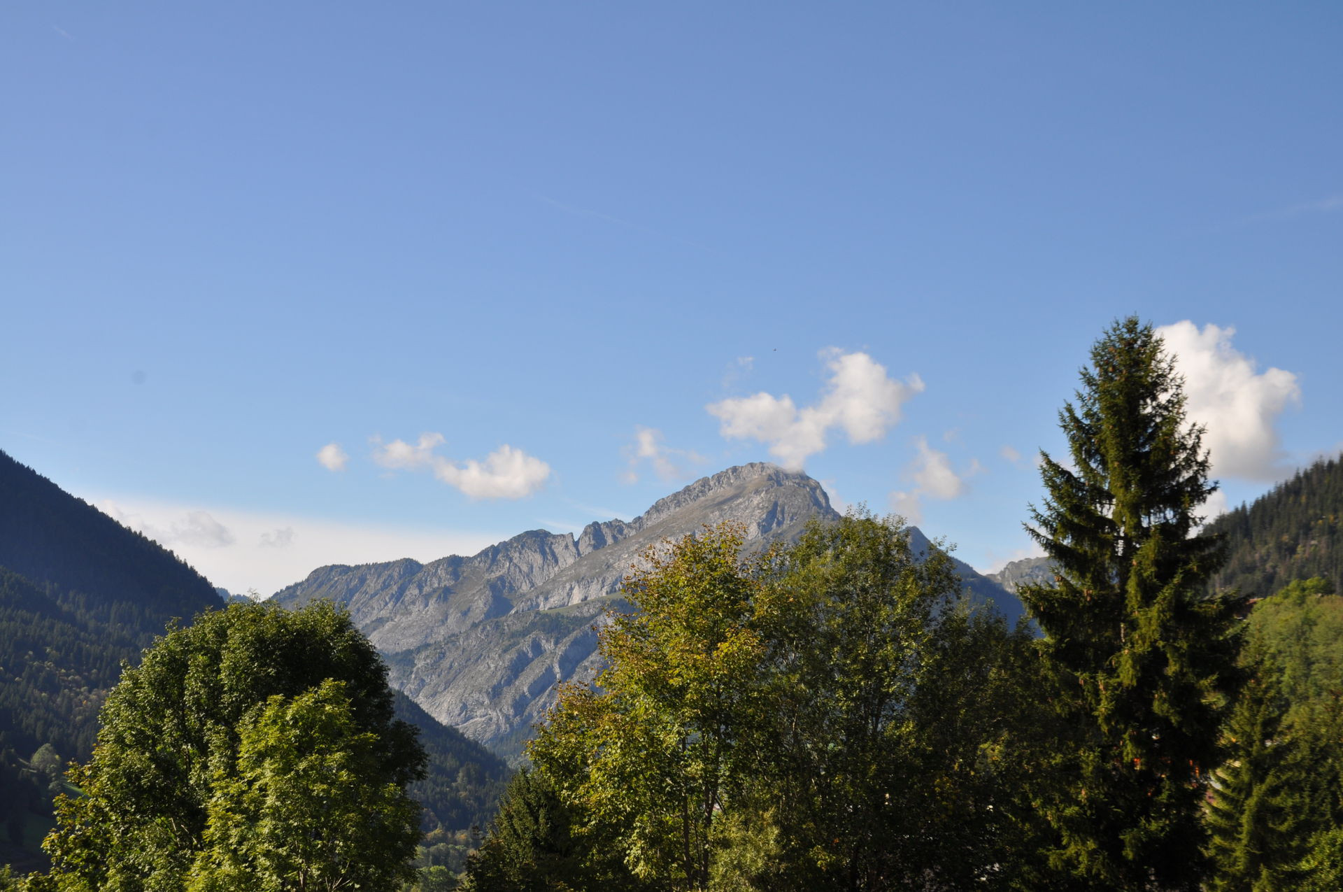 _lv_images__lot_0000000089_12_8120009