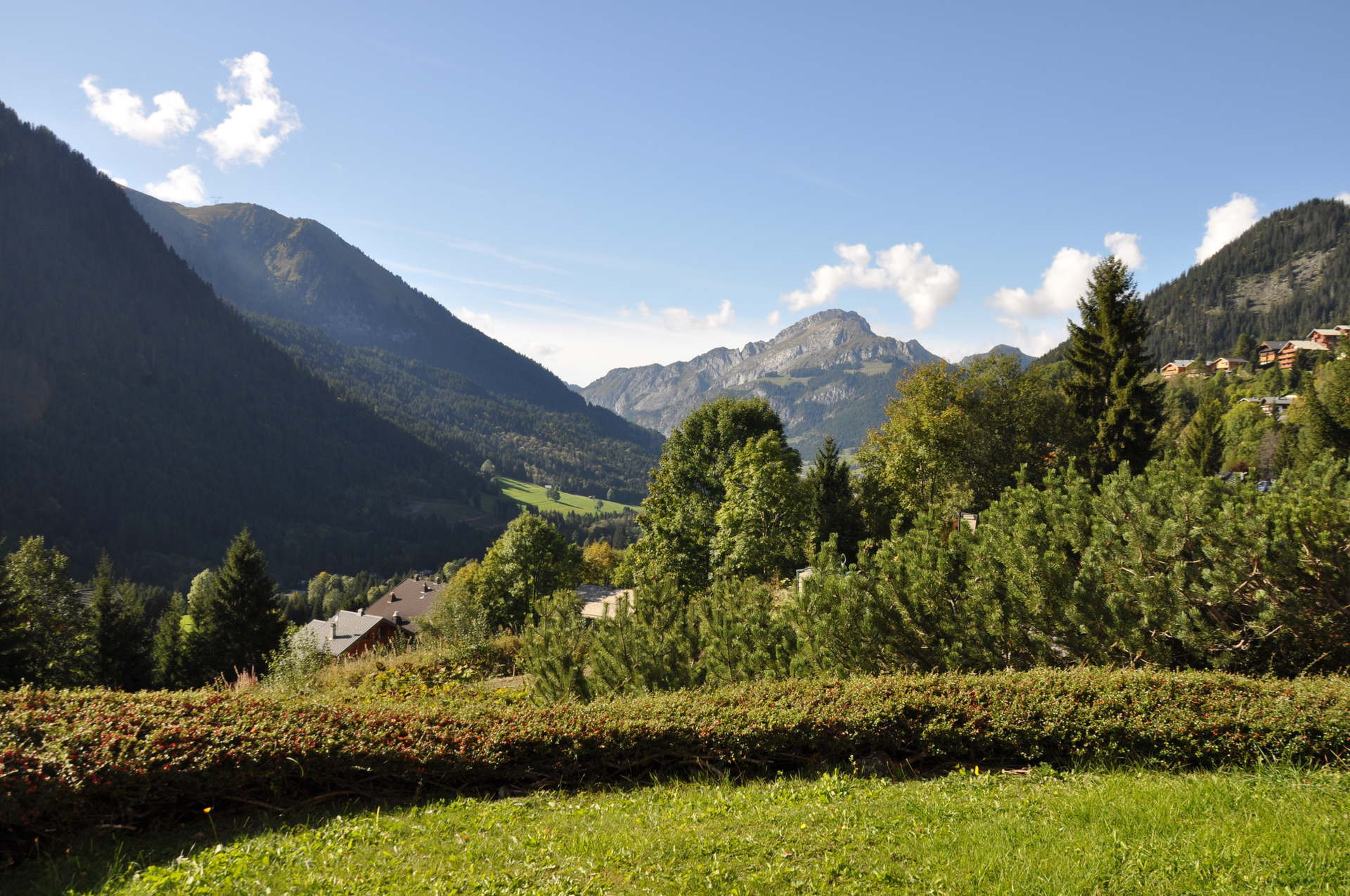 _lv_images__lot_0000000090_09_8315761 _lv_images__lot_0000000090_09_8315761