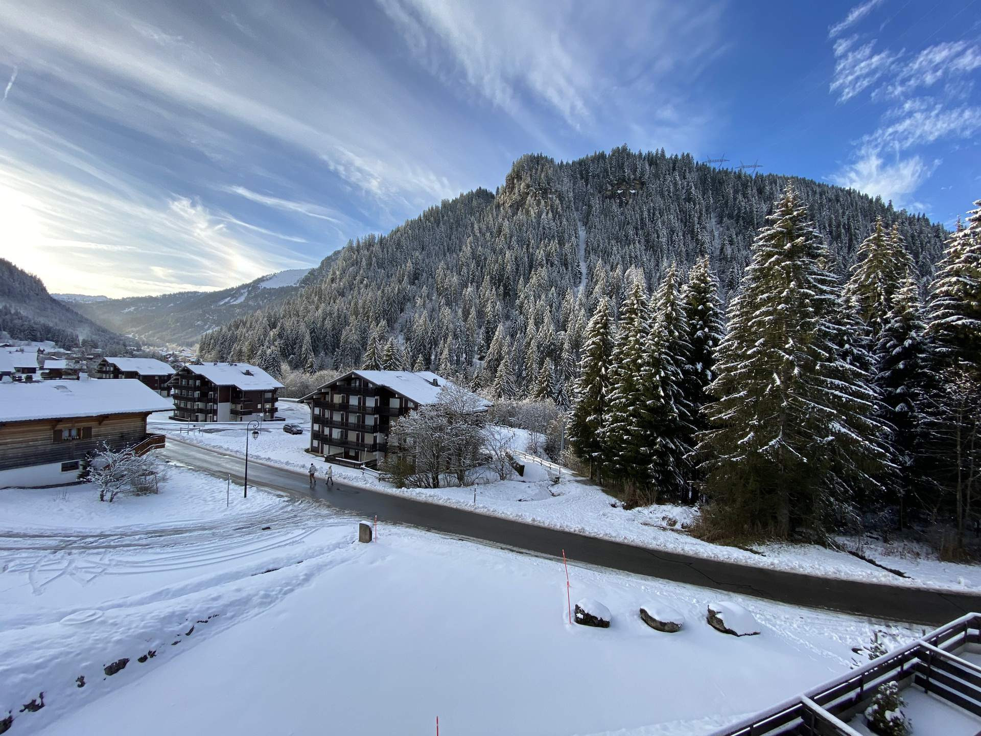 _lv_images__lot_0000000100_11_8290195 _lv_images__lot_0000000100_11_8290195