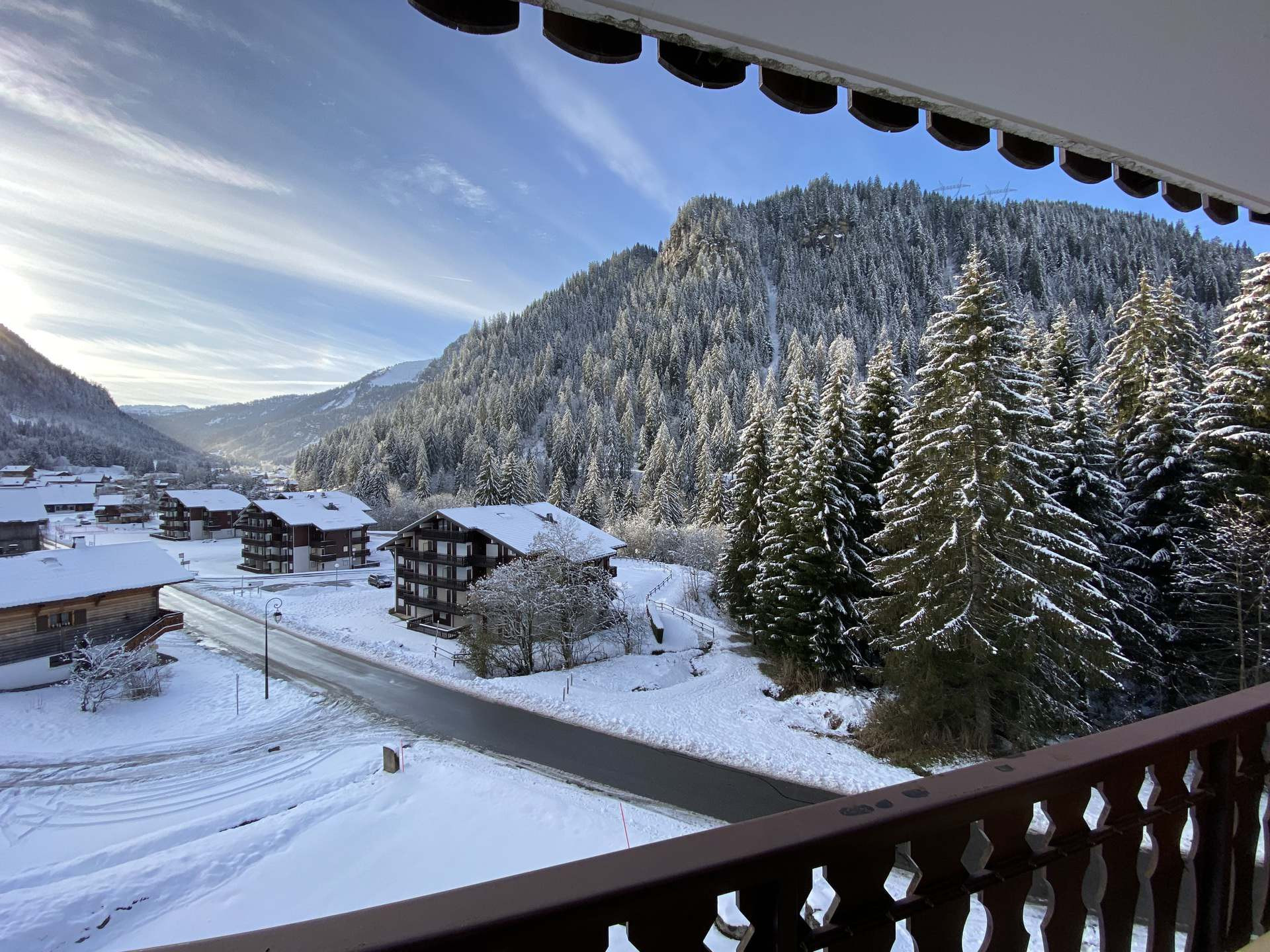 _lv_images__lot_0000000101_11_8540276