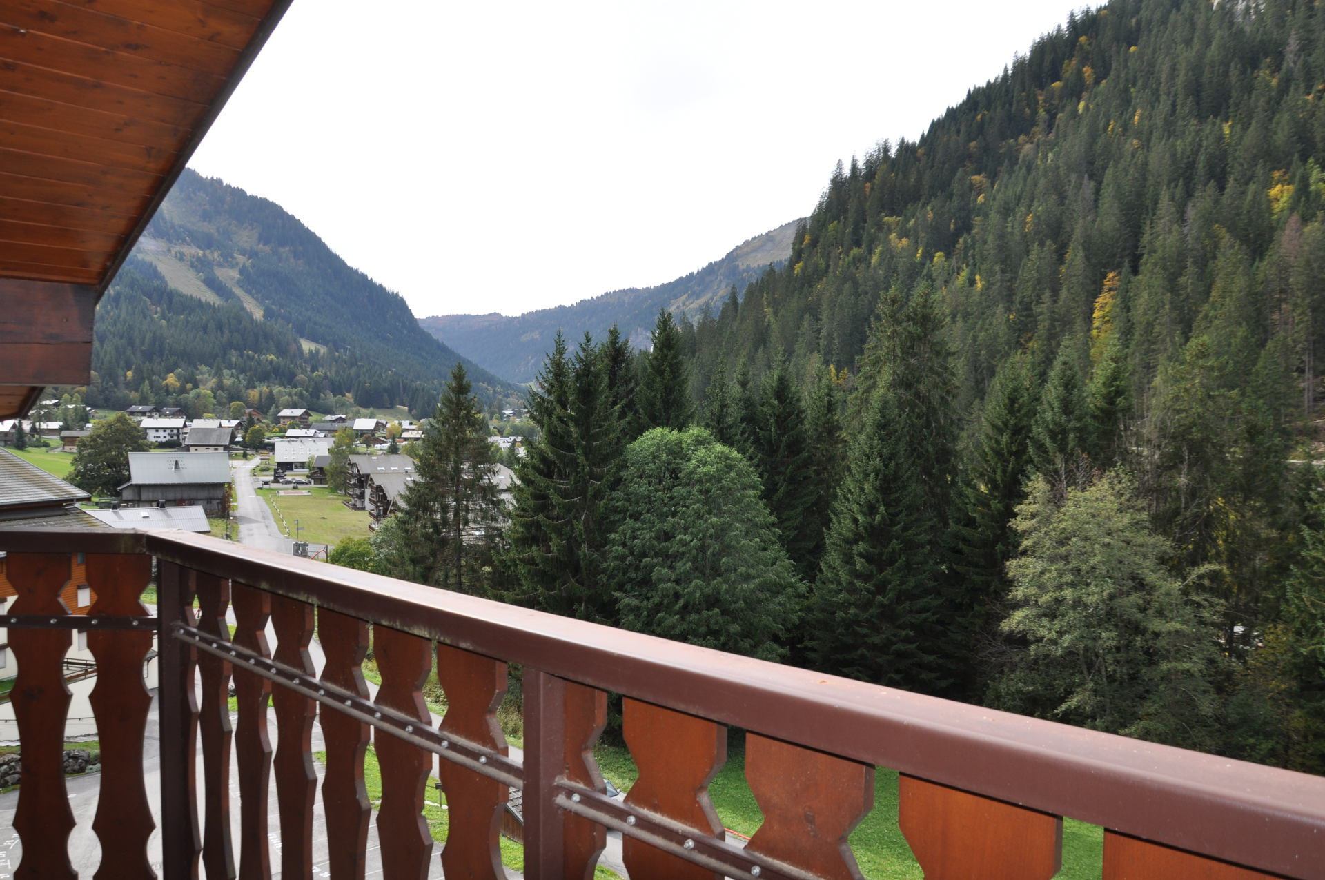 _lv_images__lot_0000000106_11_8556577