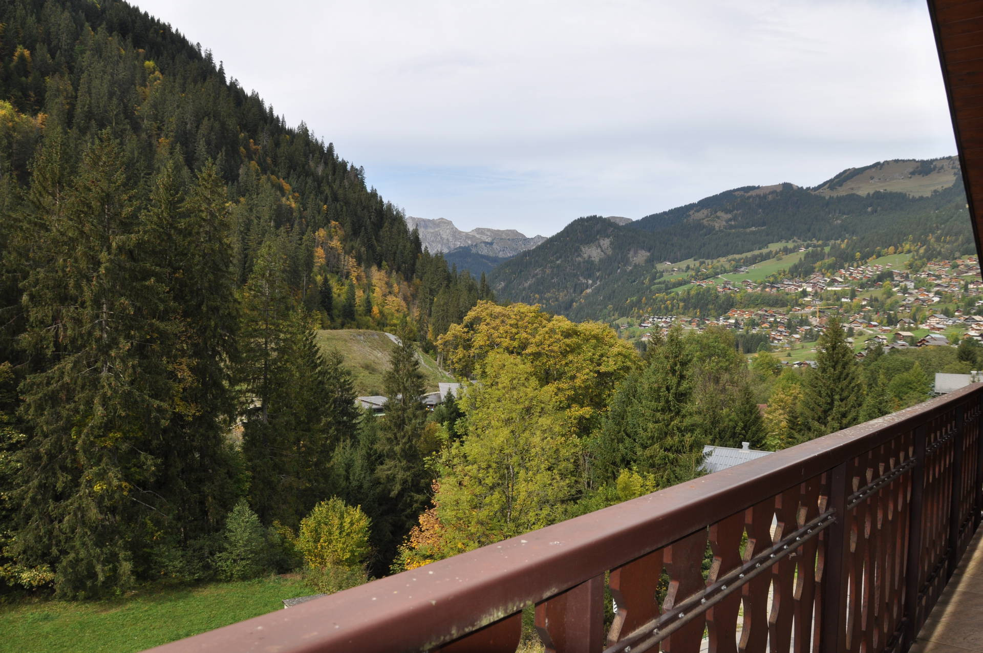 _lv_images__lot_0000000106_12_8503794