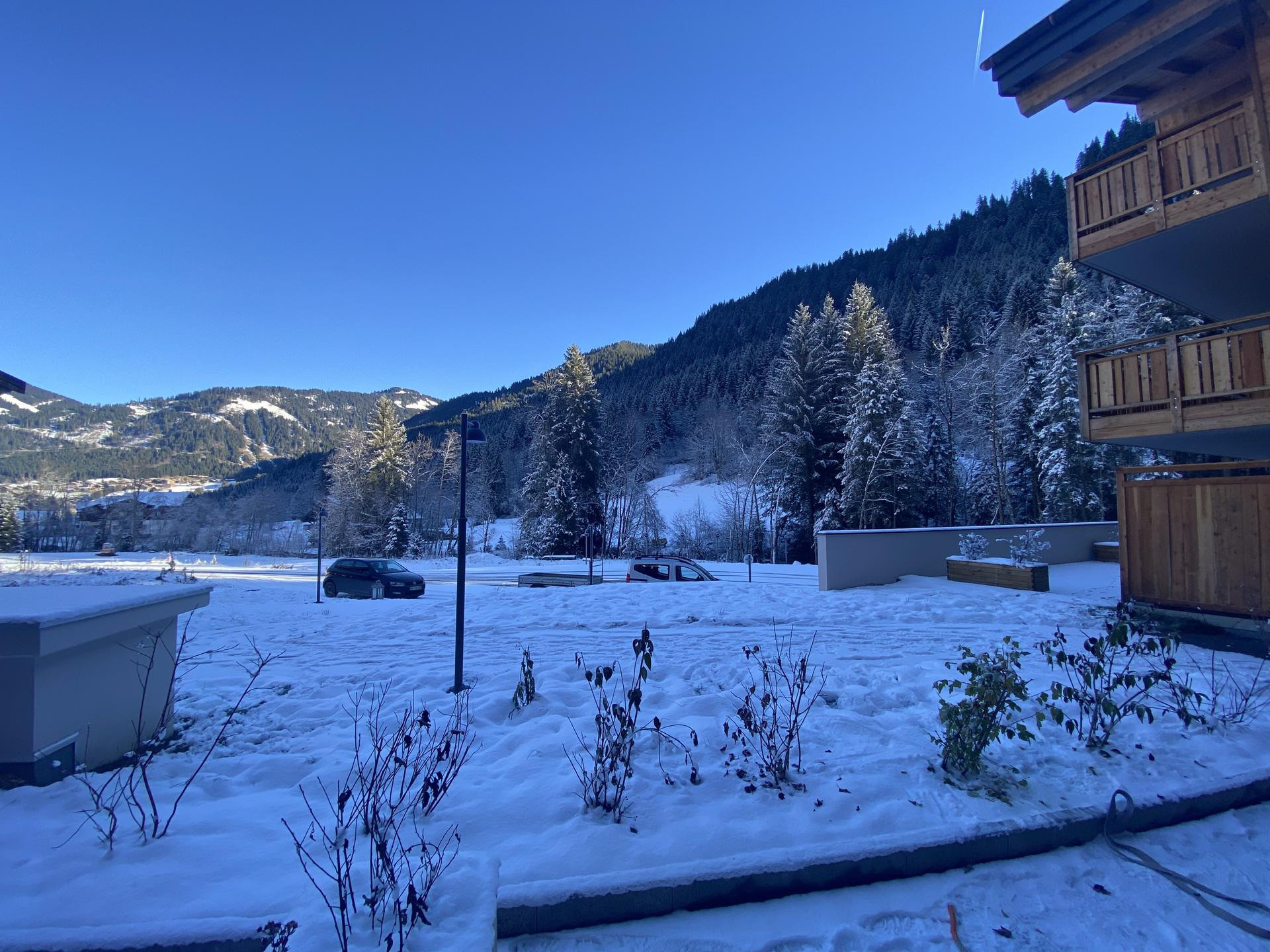 _lv_images__lot_0000000122_12_8207442 _lv_images__lot_0000000122_12_8207442