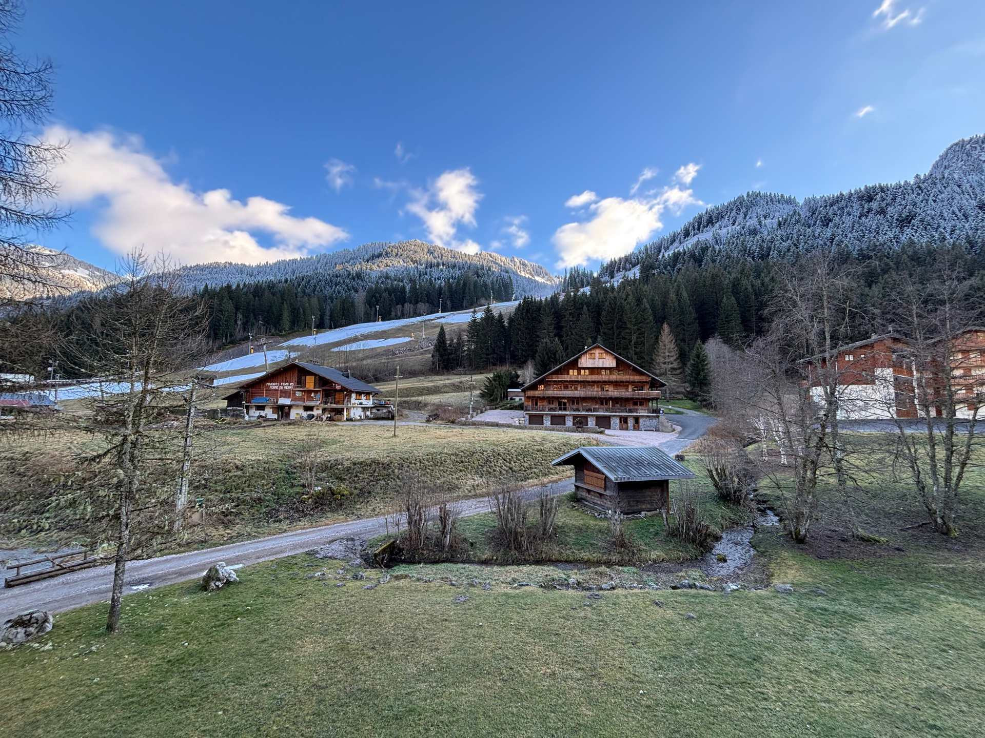 _lv_images__lot_0000000124_04_8311865 _lv_images__lot_0000000124_04_8311865