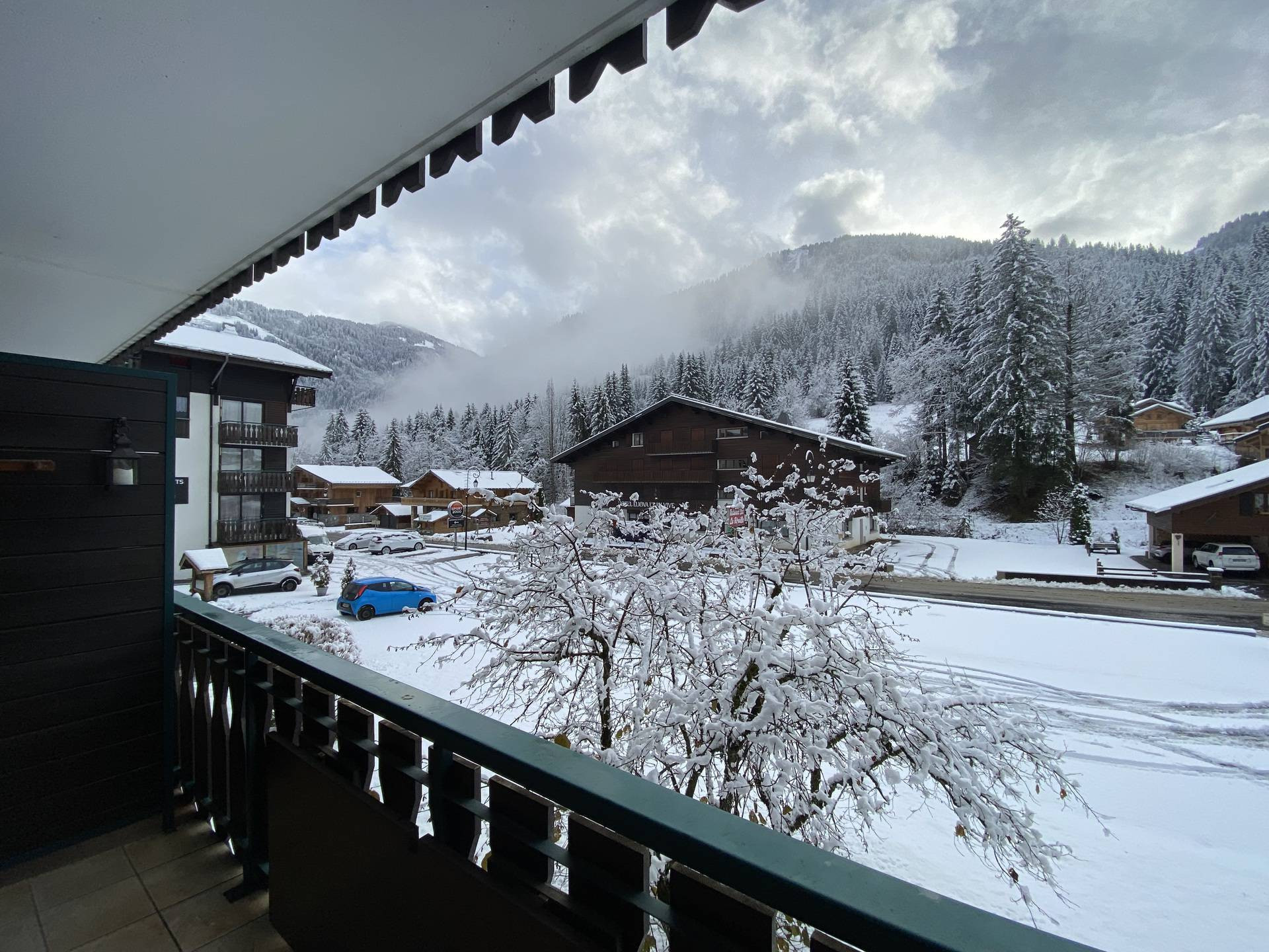 _lv_images__lot_0000000126_03_8199440 _lv_images__lot_0000000126_03_8199440