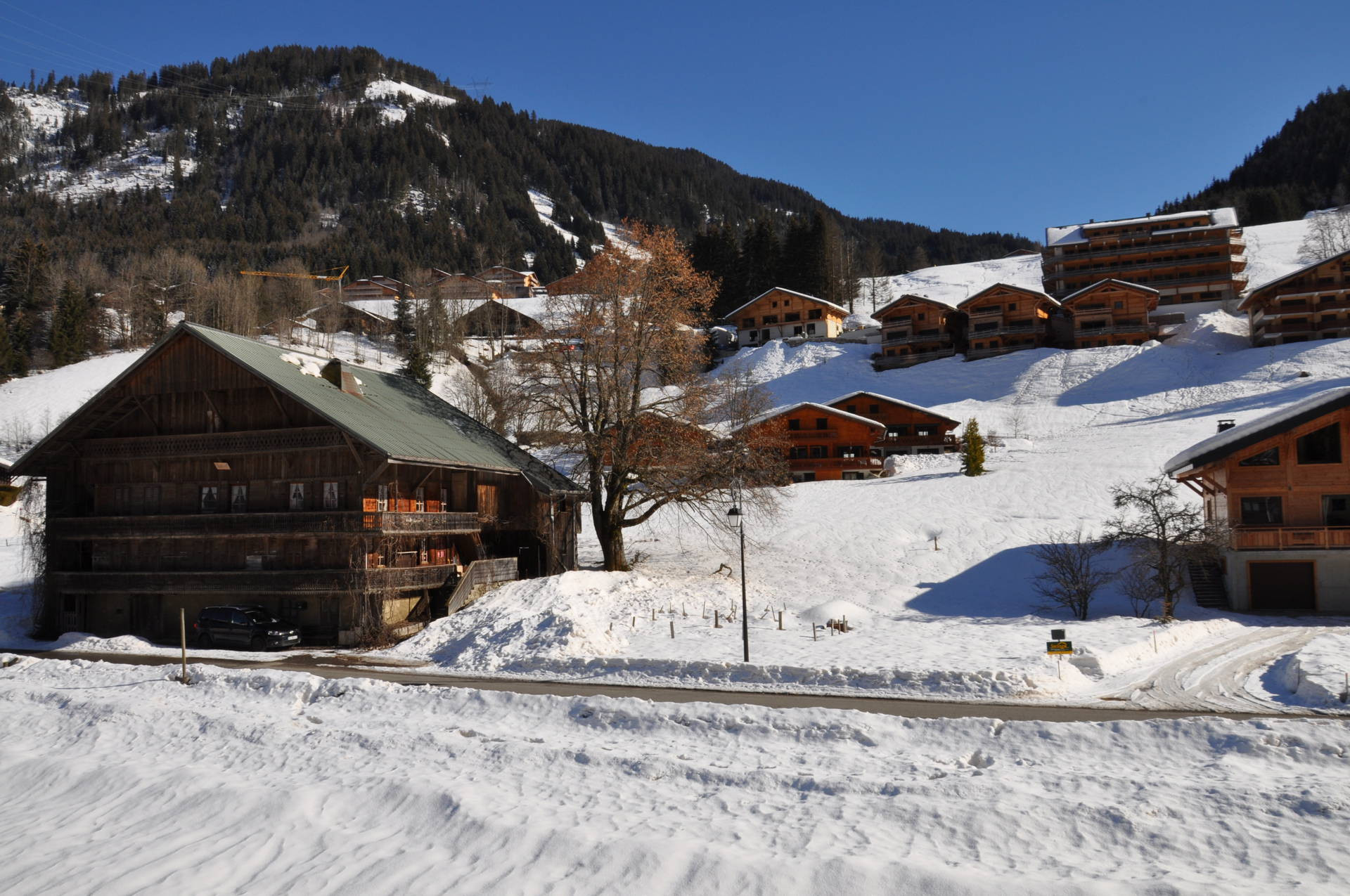 _lv_images__lot_0000000131_11_8262696