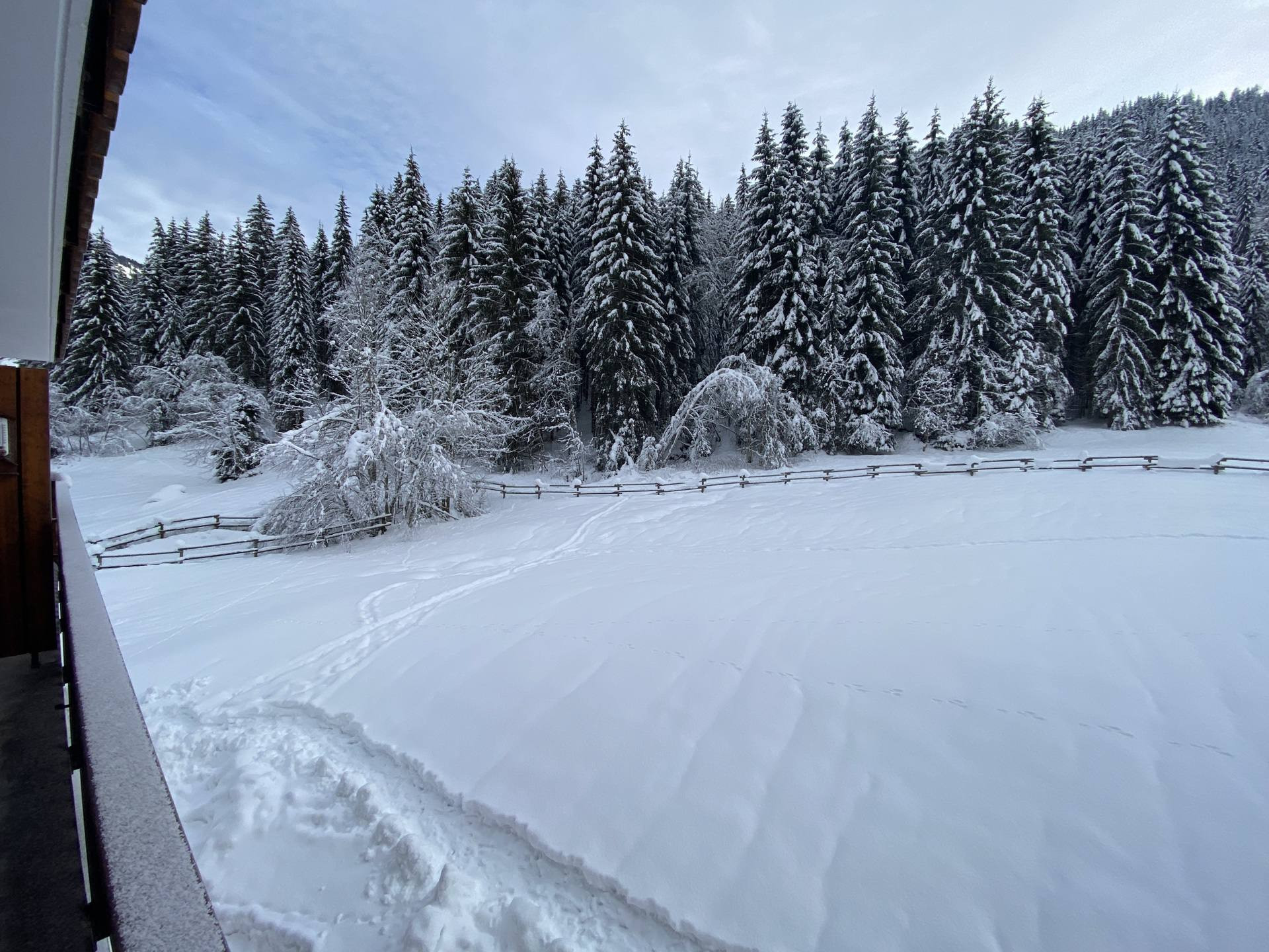 _lv_images__lot_0000000170_13_8835517 _lv_images__lot_0000000170_13_8835517