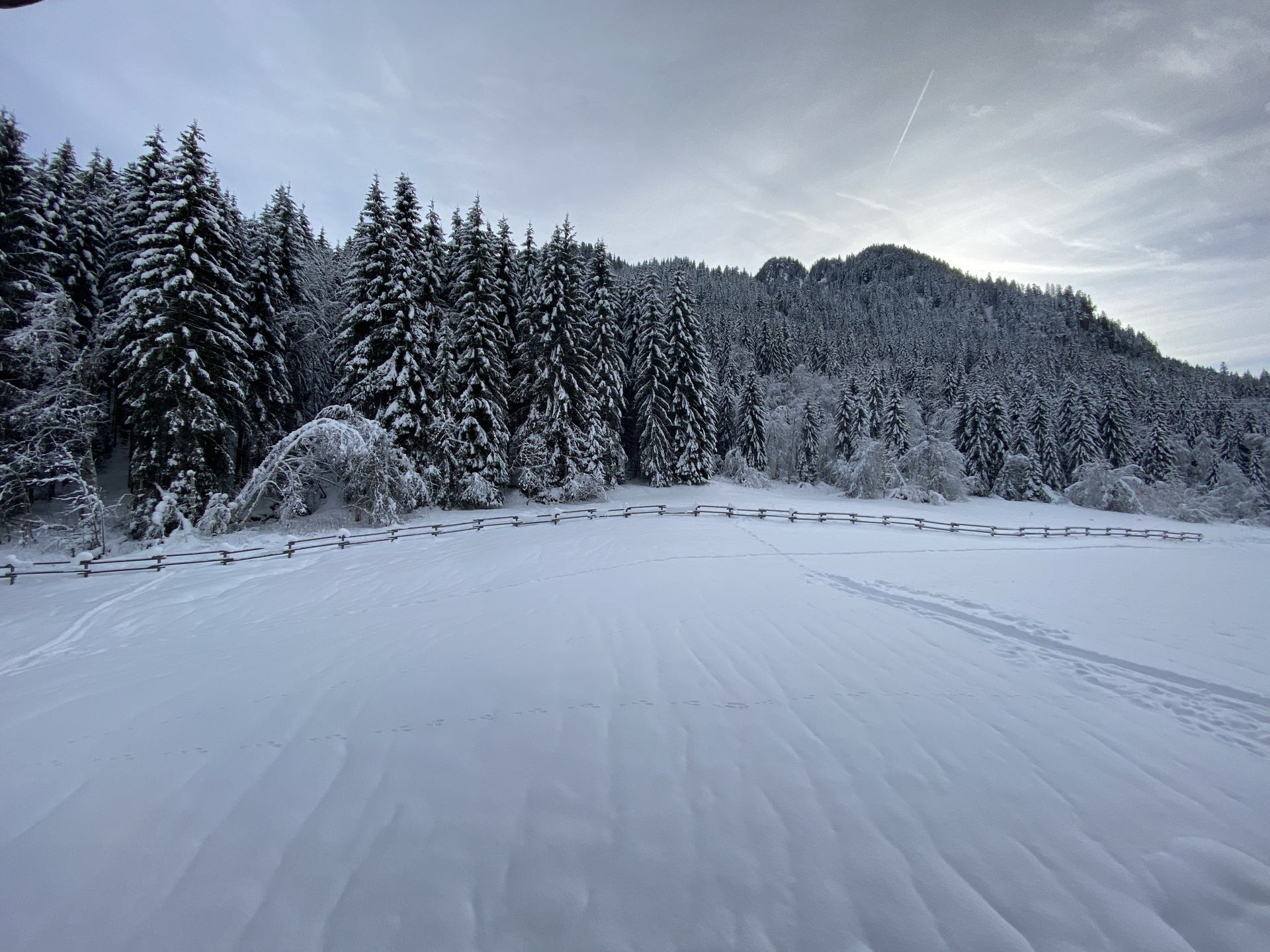 _lv_images__lot_0000000170_14_8835518 _lv_images__lot_0000000170_14_8835518