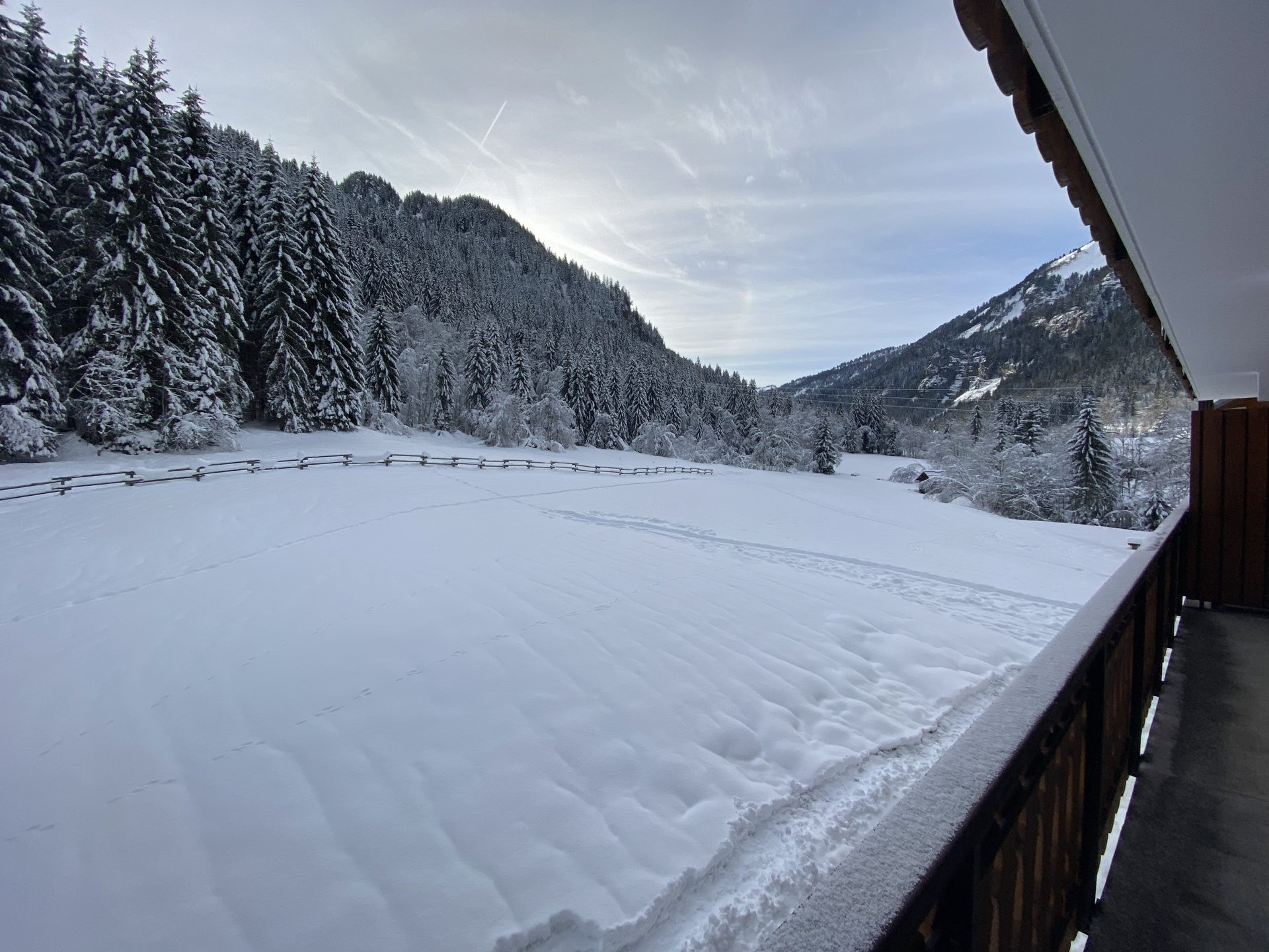 _lv_images__lot_0000000170_15_8459425 _lv_images__lot_0000000170_15_8459425