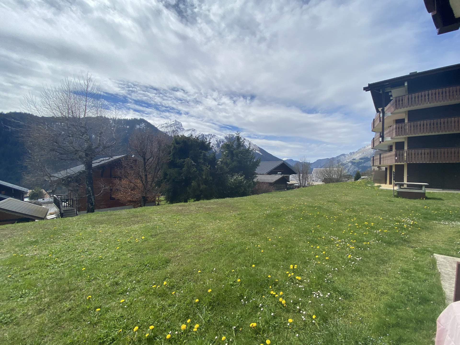 _lv_images__lot_0000000193_12_8439829