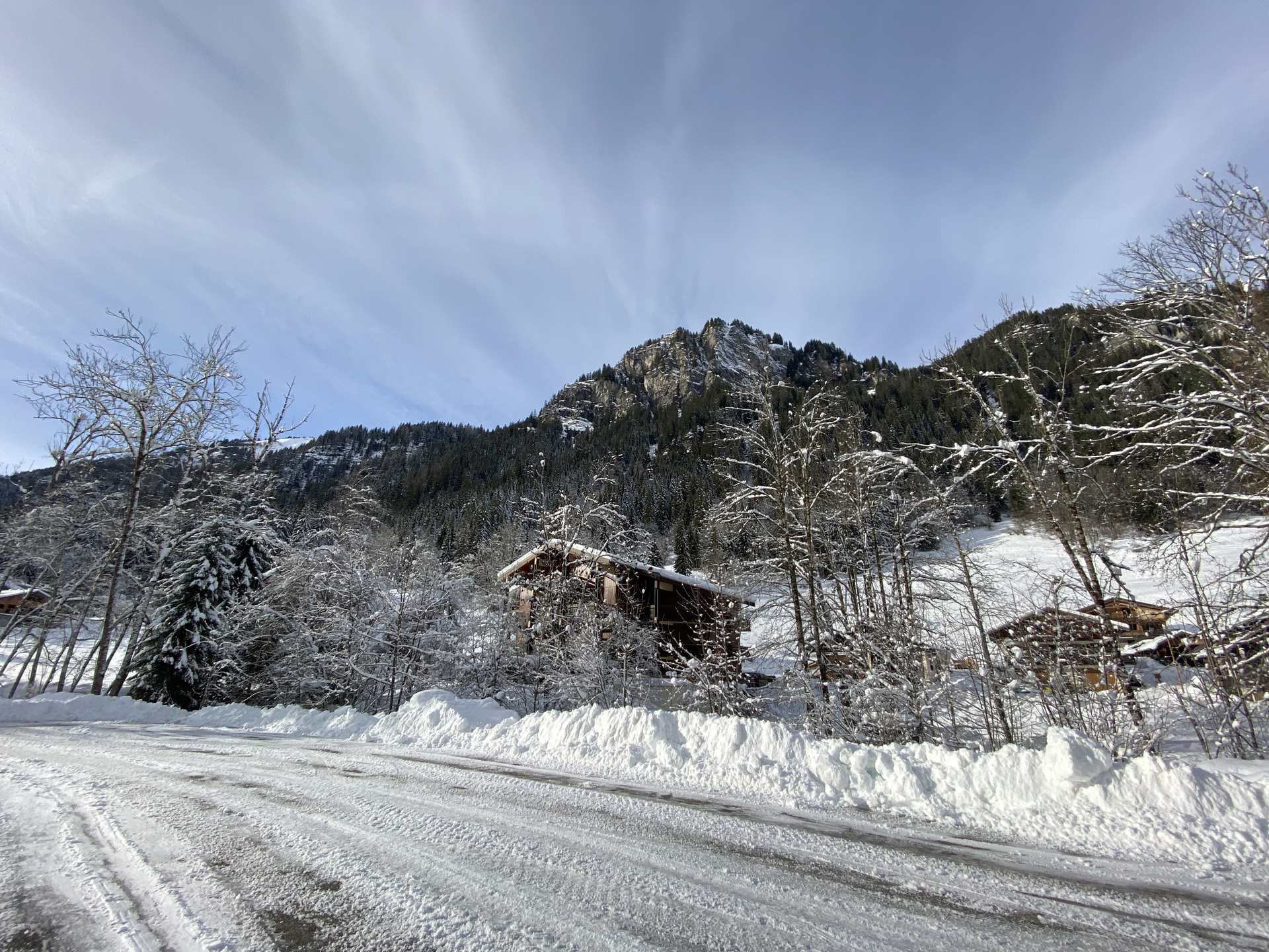 _lv_images__lot_0000000211_09_8504227 _lv_images__lot_0000000211_09_8504227