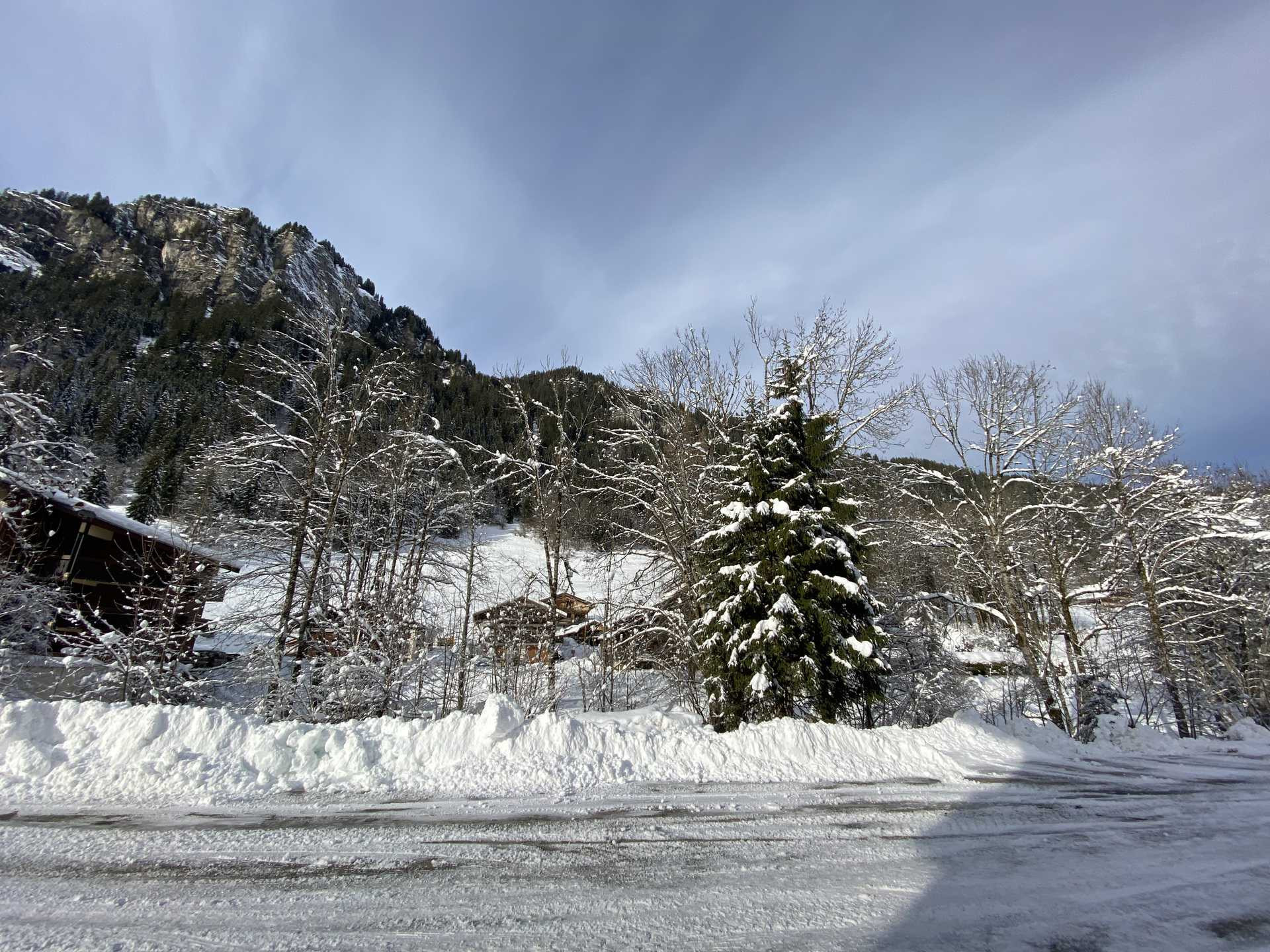 _lv_images__lot_0000000211_10_8504228 _lv_images__lot_0000000211_10_8504228