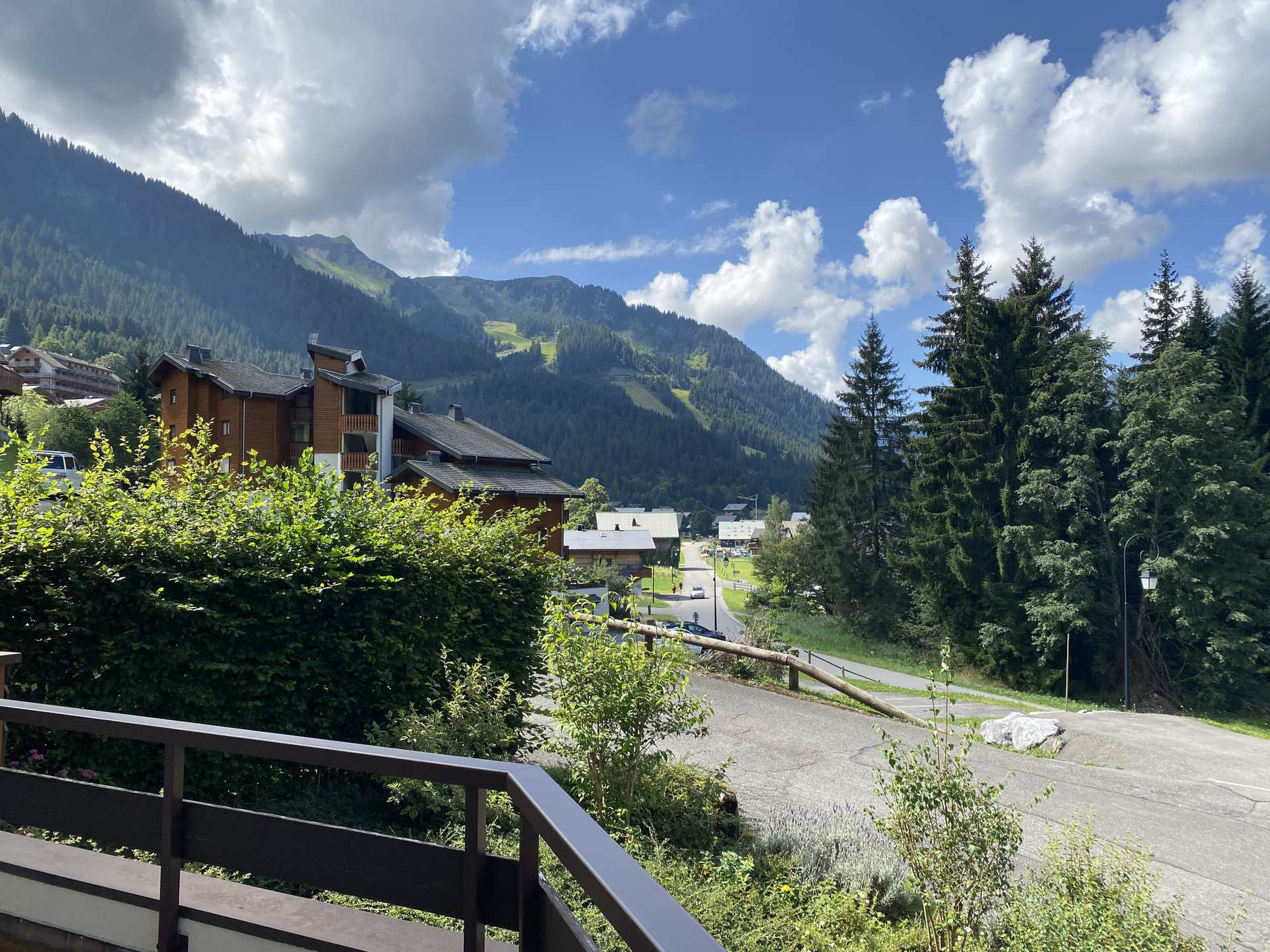 _lv_images__lot_0000000226_05_8256447