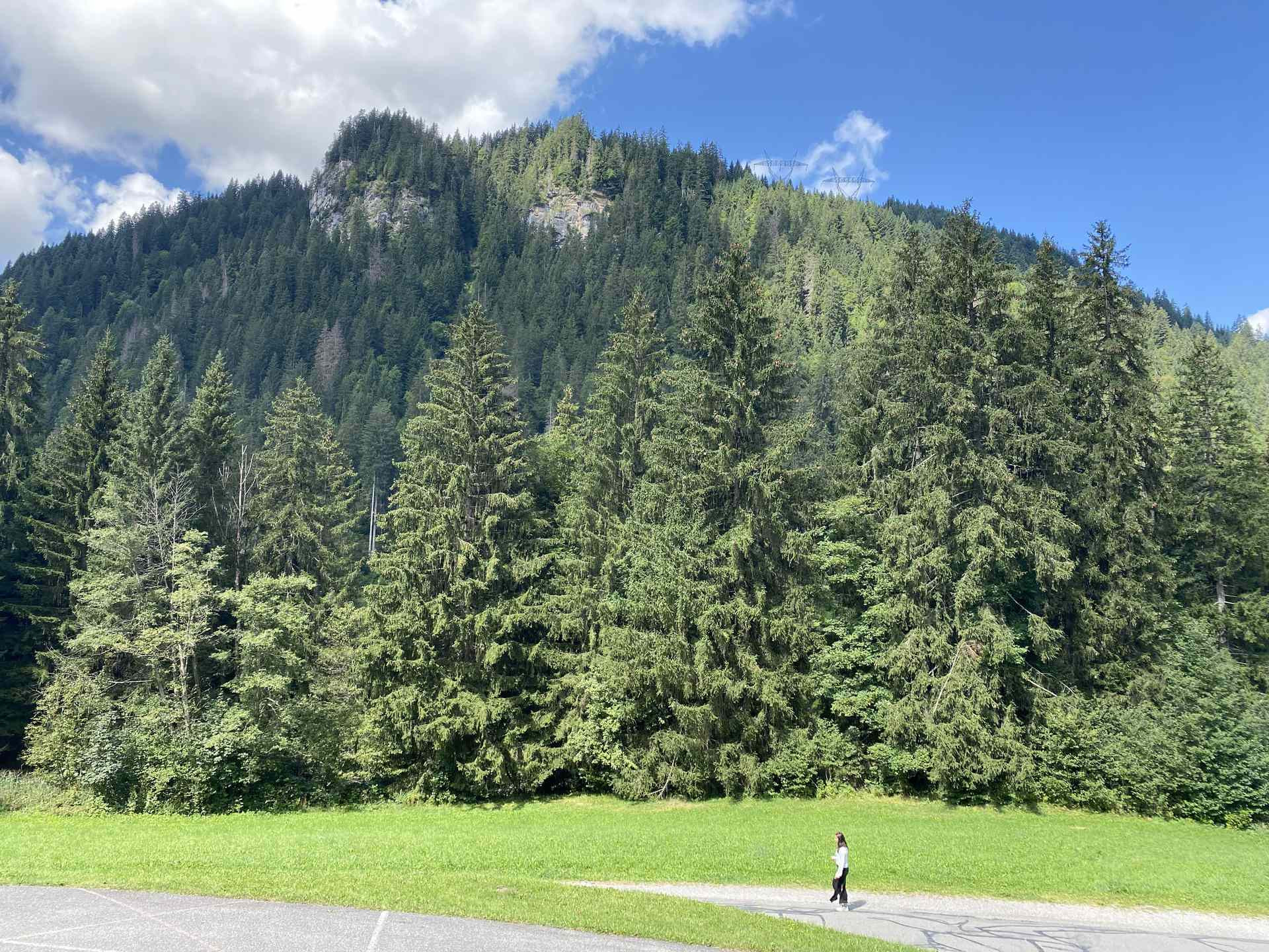 _lv_images__lot_0000000226_14_8230942 _lv_images__lot_0000000226_14_8230942