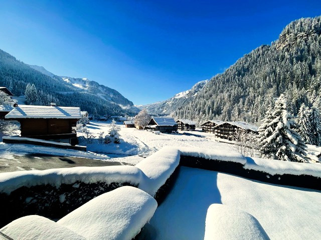 Apartment for 4 people, Chalet de l'Oy, Loy Châtel, Balcony View, Snow and Sun (TITLE) Apartment for 4 people, Chalet de l'Oy, Loy Châtel, Balcony View, Snow and Sun (ALT)