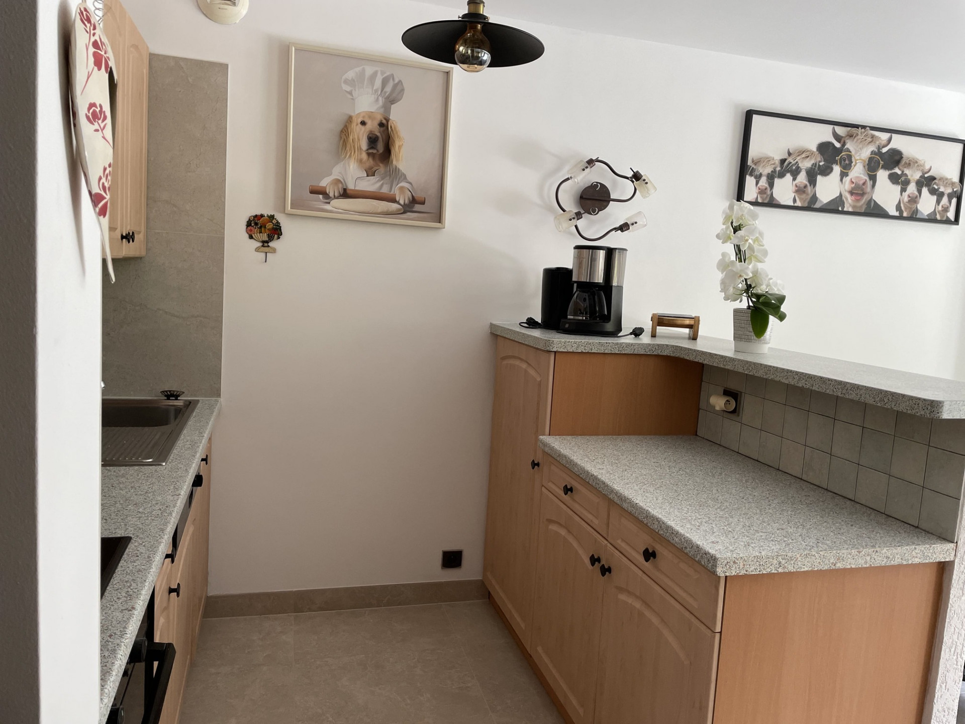 “Boule de Neige” Apartment, kitchen, Châtel, Abondance Valley