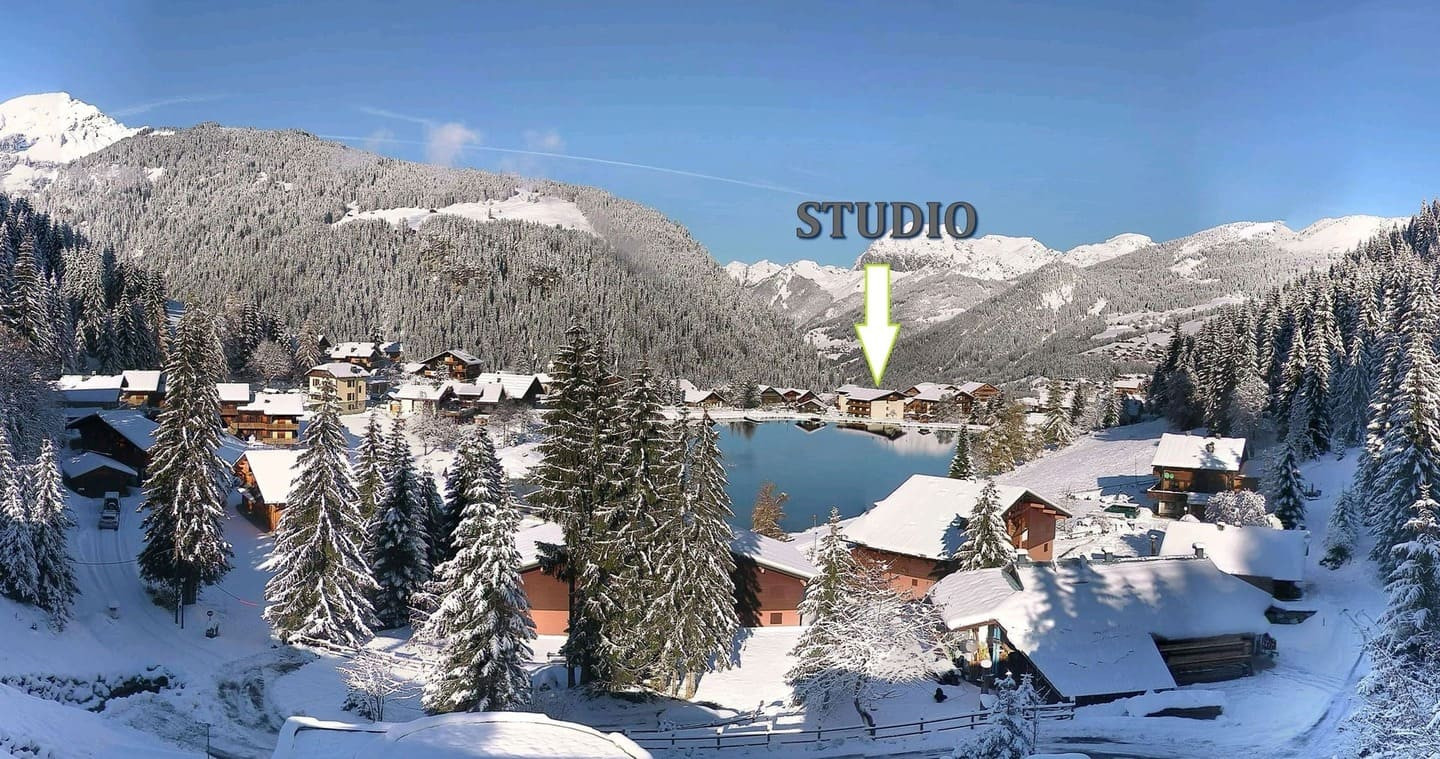 Appartment n°97, residence Alpenlake, residence near Vonnes lake, Châtel Ski Holiday