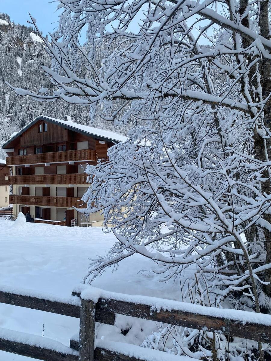Myrtilles MR7 Building - Châtel, Raclette with Friends