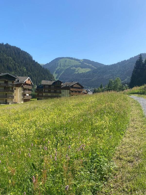 Myrtilles MR7 Buildings - Châtel, Sports Equipment