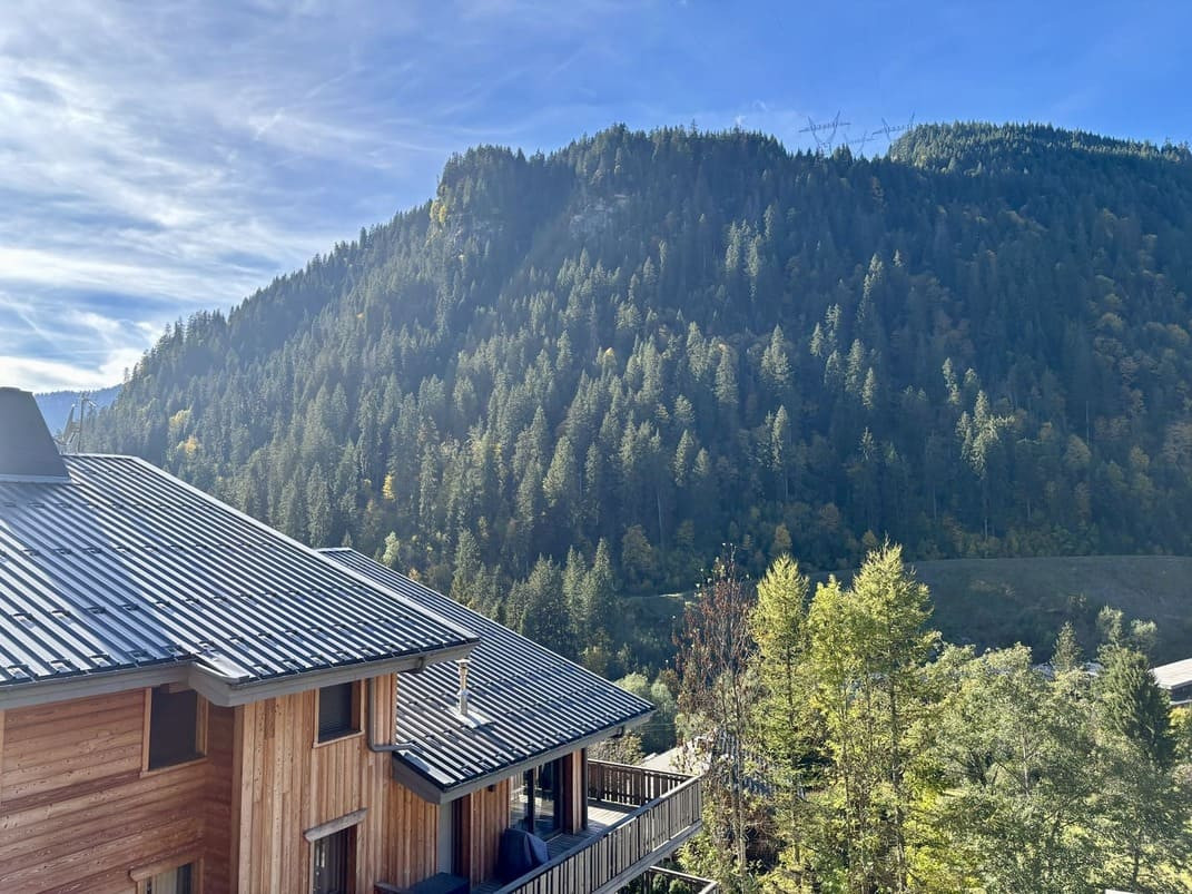 Chalet des Freinets, Appartement 201A, Châtel, Vue montagne, Altitude 74390 Chalet des Freinets, Appartement 201A, Châtel, Vue montagne, Altitude 74390