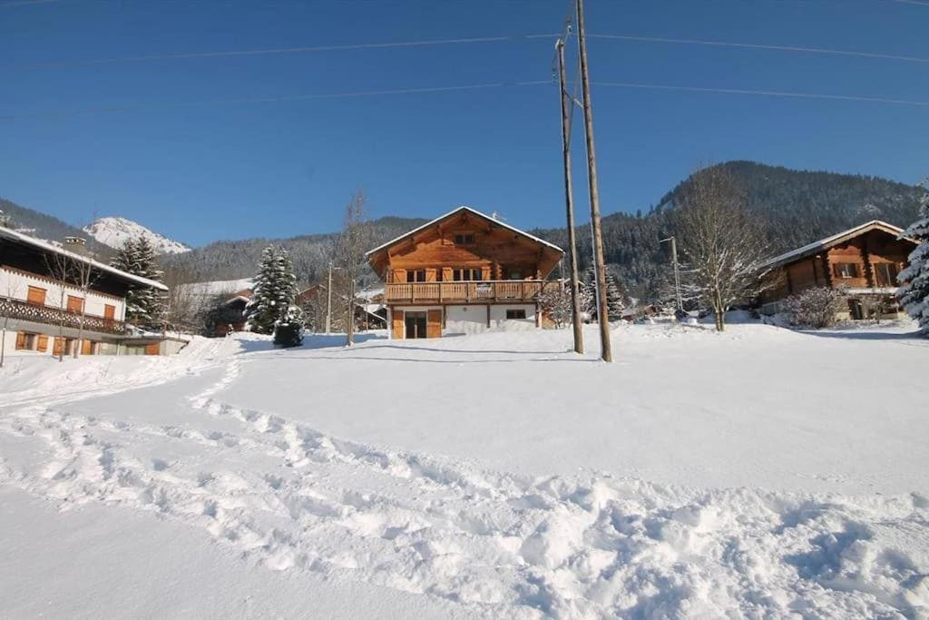 Chalet Ecureuil, sleeps 10, winter chalet view, Châtel ski mountain