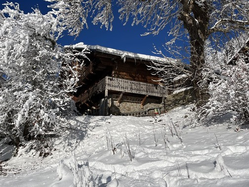Chalet La Miette (Haut) , Outside, Chatel, French Alpes