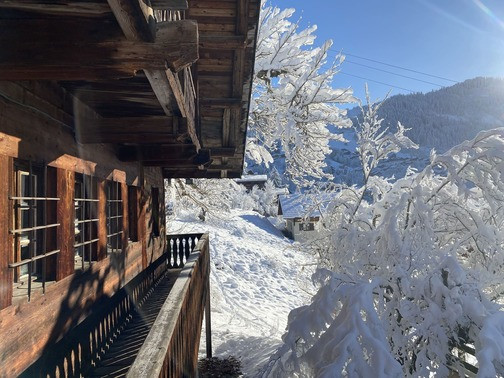 Chalet La Miette (Haut) , Outside, Chatel, Friends Holiday