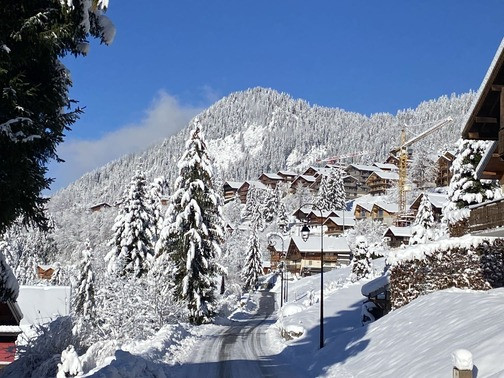 Chalet La Miette (Haut) , Outside, Chatel, Snow Holiday
