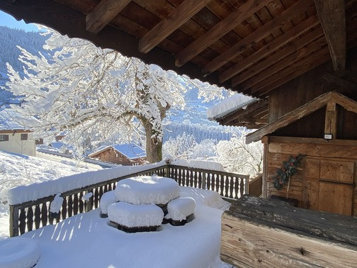 Chalet La Miette (Haut) , Outside, Chatel, Sunny Holiday