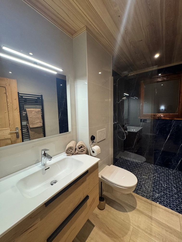 Chalet Laurentine in Châtel, bedroom with shower room