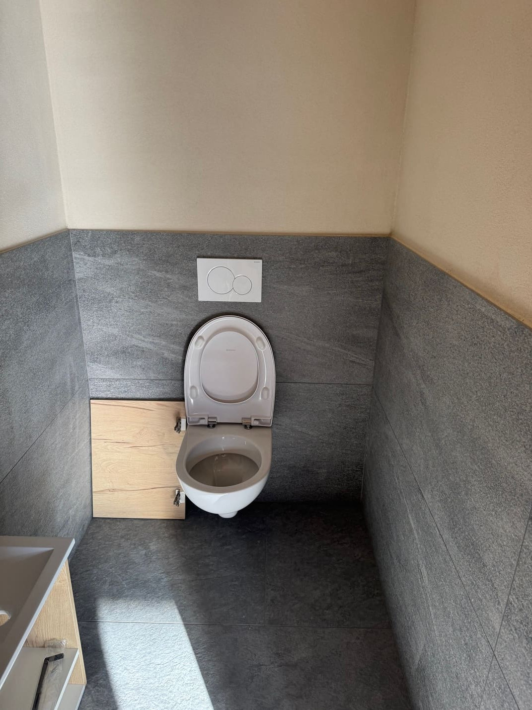 Chalet Laurentine, Toilettes, Châtel Vue panoramique